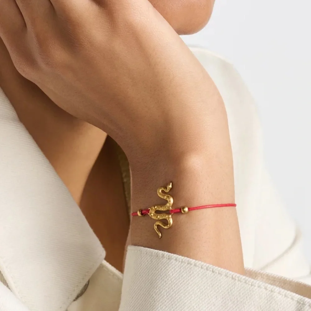 Dior Diorelita Year of the Snake Bracelet - Picture 2 of 7